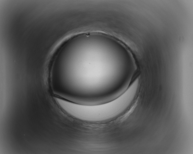 X0000094381502200711162120
