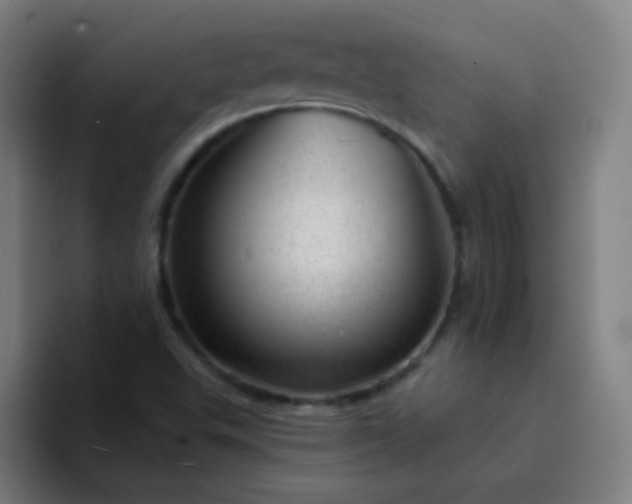 X0000094381503200711162120