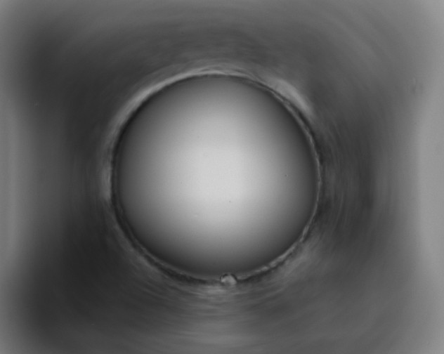 X0000094381504200711162120