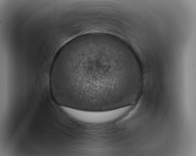 X0000094381505200711162120
