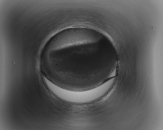 X0000094381506200711162120