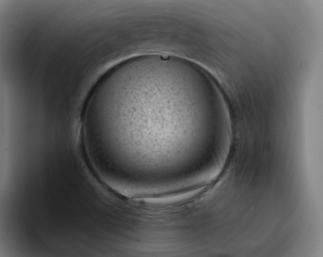 X0000094381507200711162120