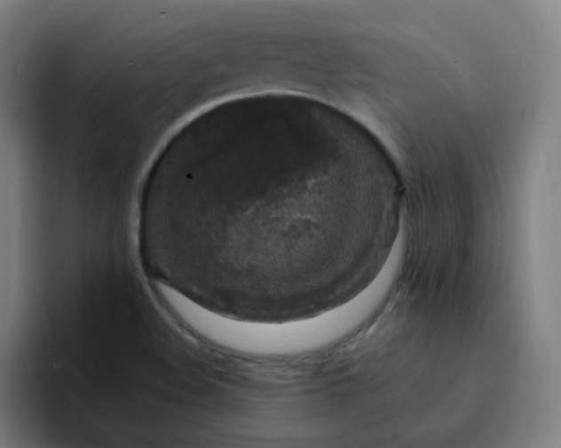 X0000094381508200711162120