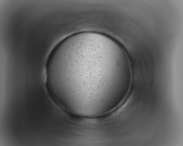 X0000094381509200711162120