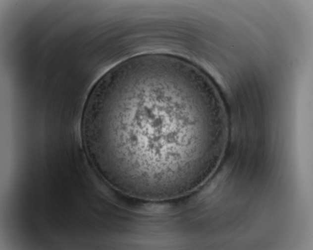 X0000094381513200711162120
