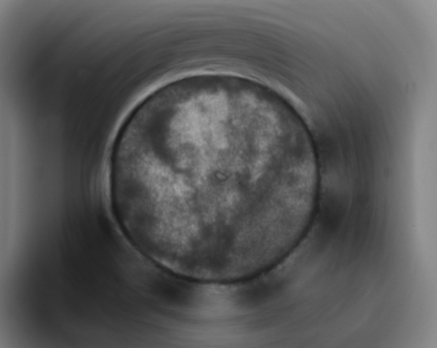 X0000094381514200711162120