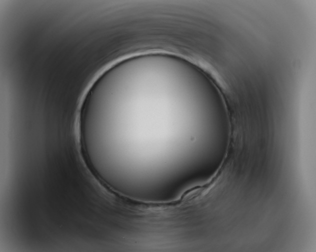 X0000094381516200711162120