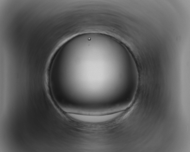 X0000094381517200711162120