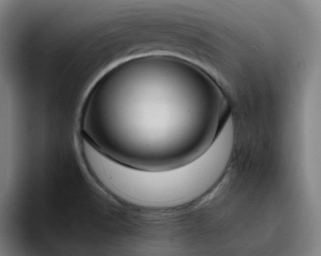 X0000094381518200711162120