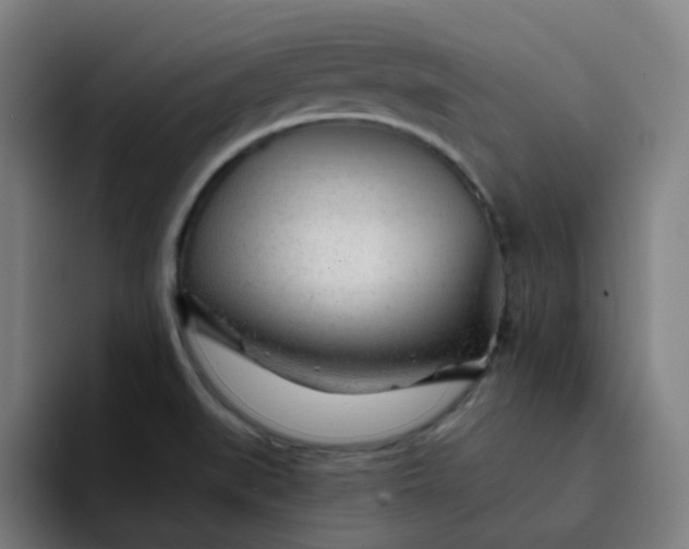 X0000094381519200711162120