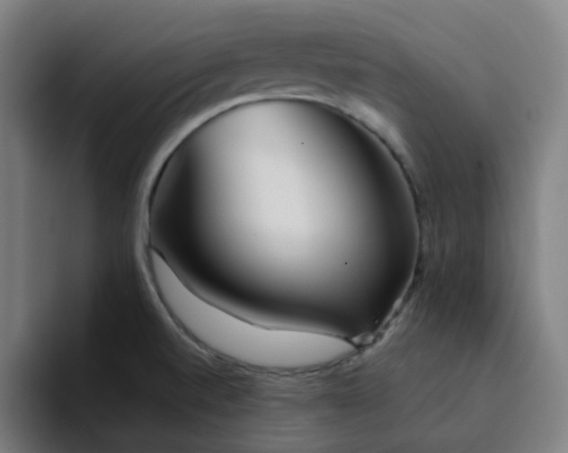 X0000094381520200711162120