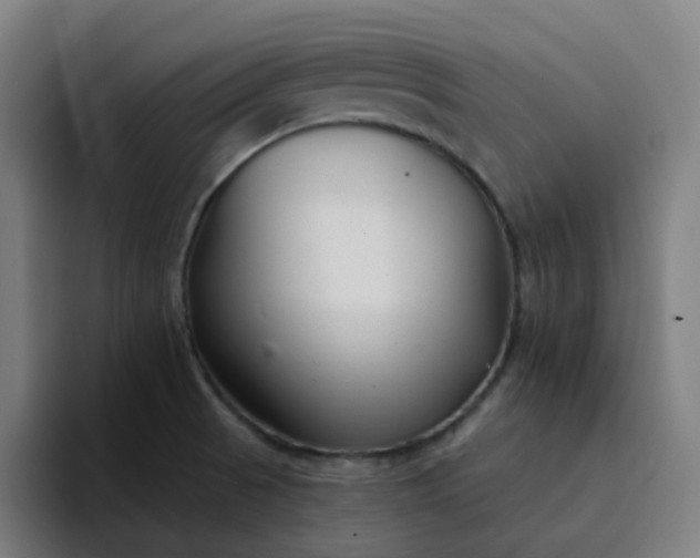 X0000094381521200711162120