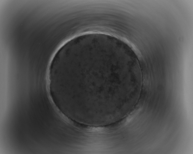 X0000094381522200711162120