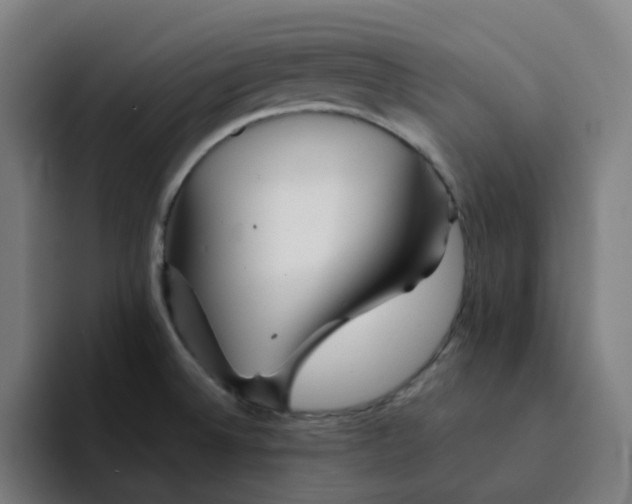 X0000094381524200711162120