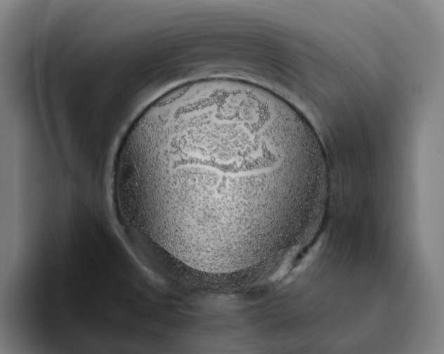 X0000094381525200711162120