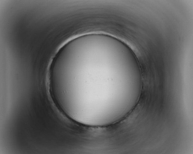 X0000094381526200711162120