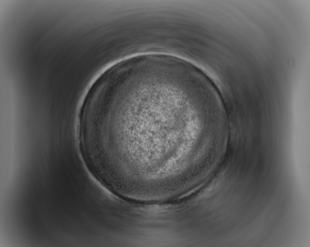 X0000094381527200711162120