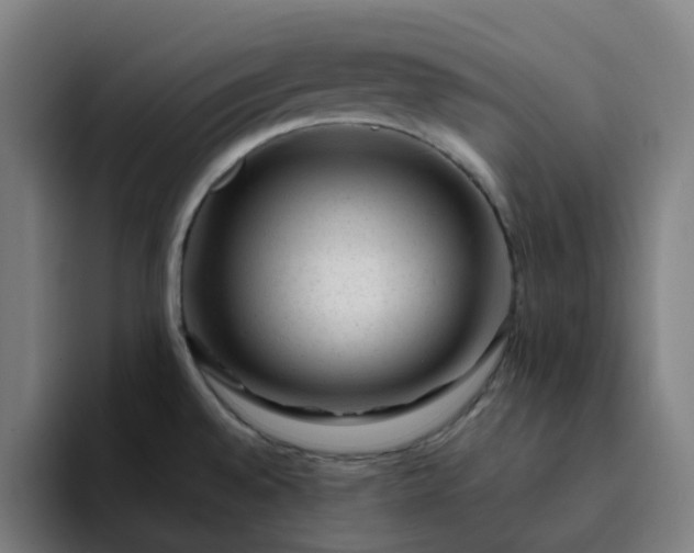 X0000094381528200711162120