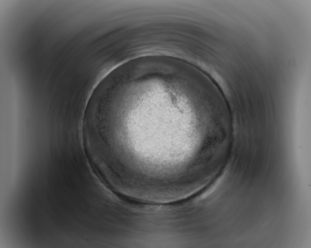 X0000094381529200711162120
