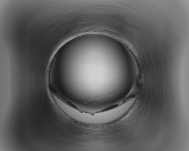 X0000094381530200711162120