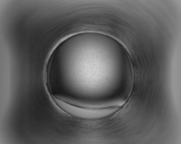 X0000094381531200711162120