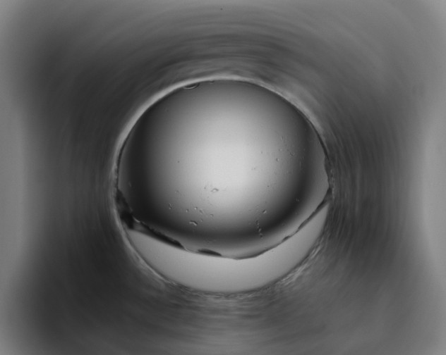 X0000094381532200711162120