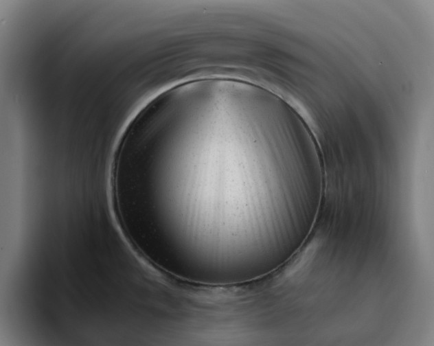 X0000094381533200711162120