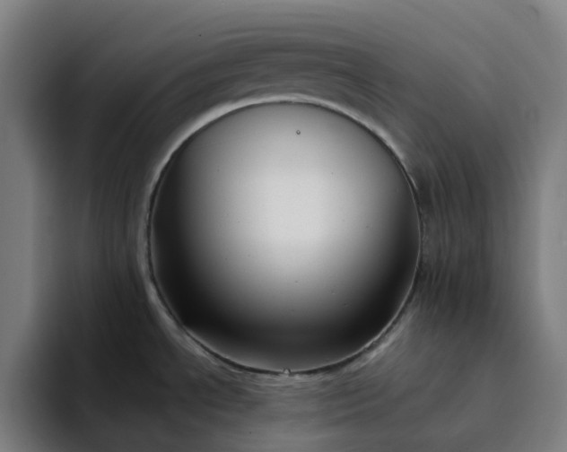 X0000094381534200711162120