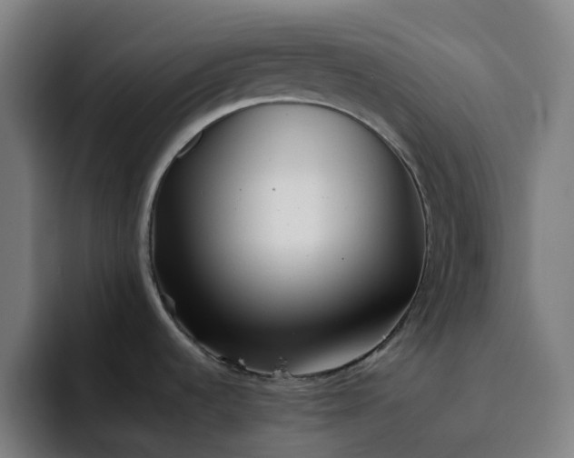 X0000094381536200711162120