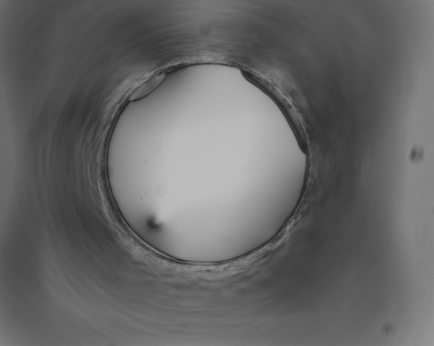 X0000094380001200711242032