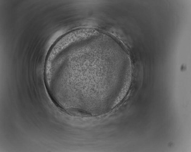 X0000094380003200711242032