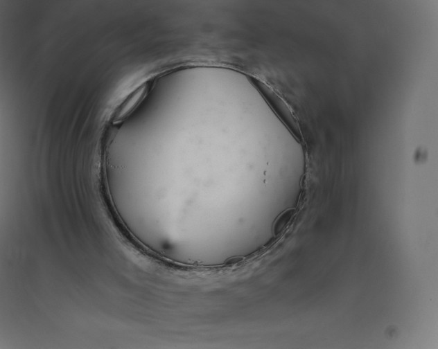 X0000094380005200711242032