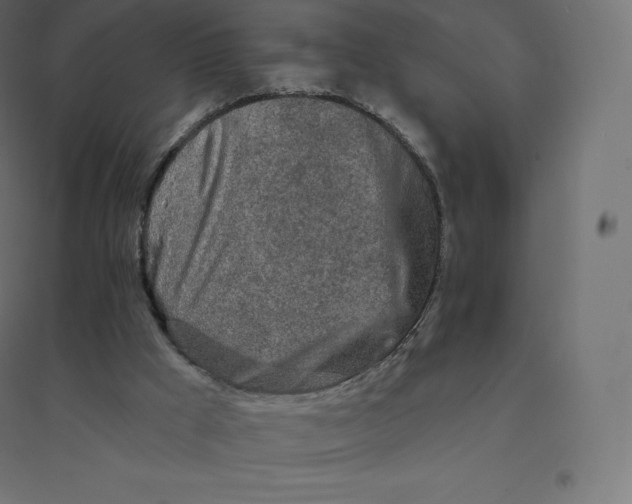 X0000094380009200711242032