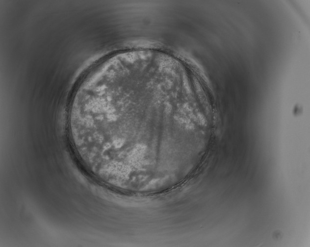 X0000094380012200711242032