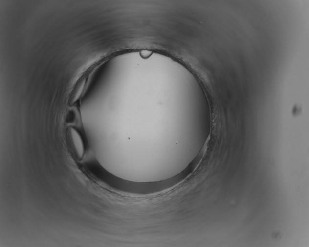 X0000094380015200711242032