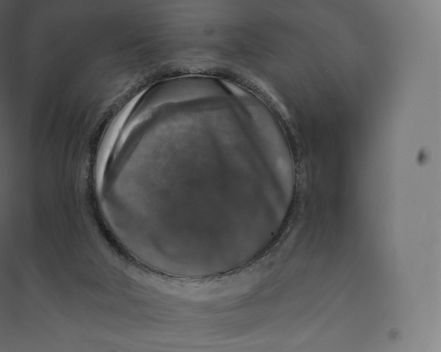 X0000094380018200711242032