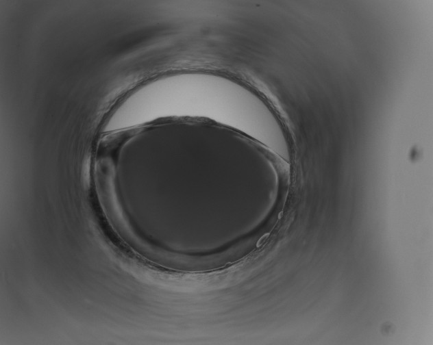 X0000094380019200711242032