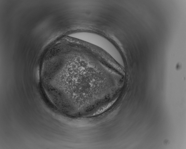 X0000094380020200711242032