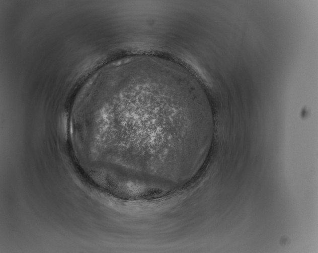 X0000094380022200711242032