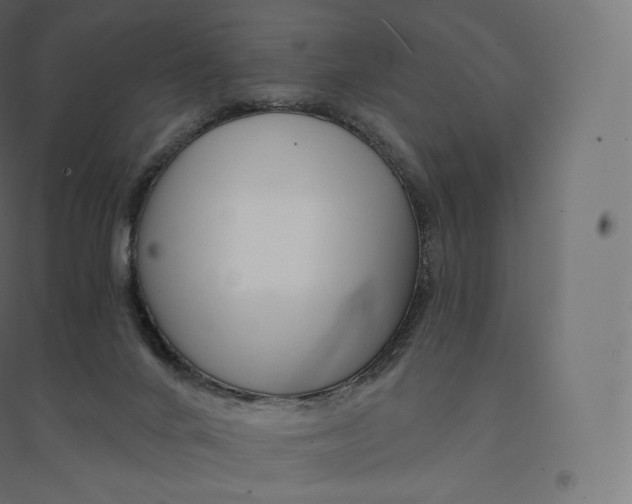 X0000094380024200711242032