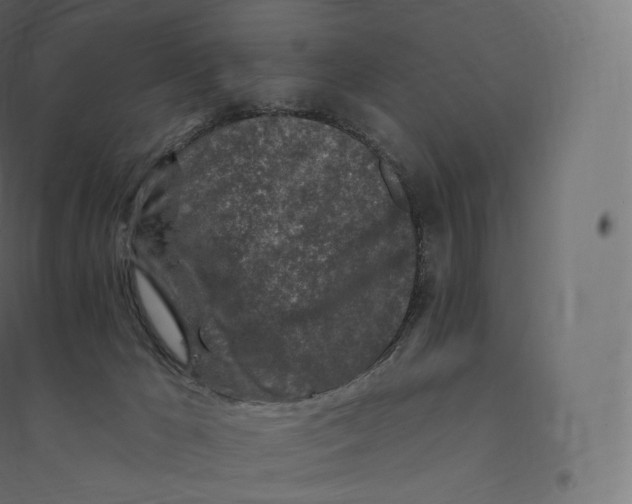 X0000094380029200711242032