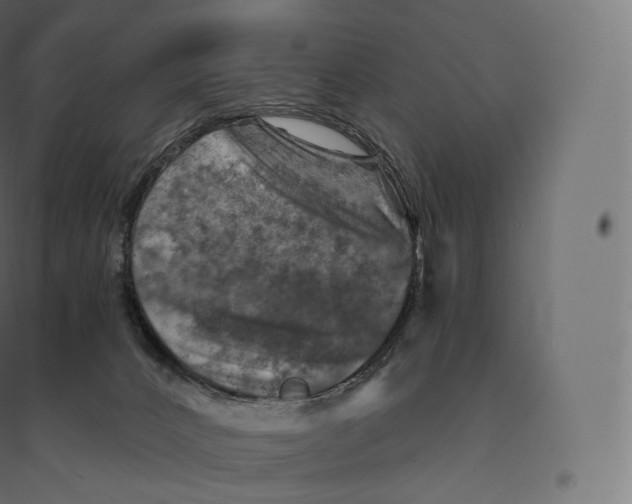 X0000094380032200711242032