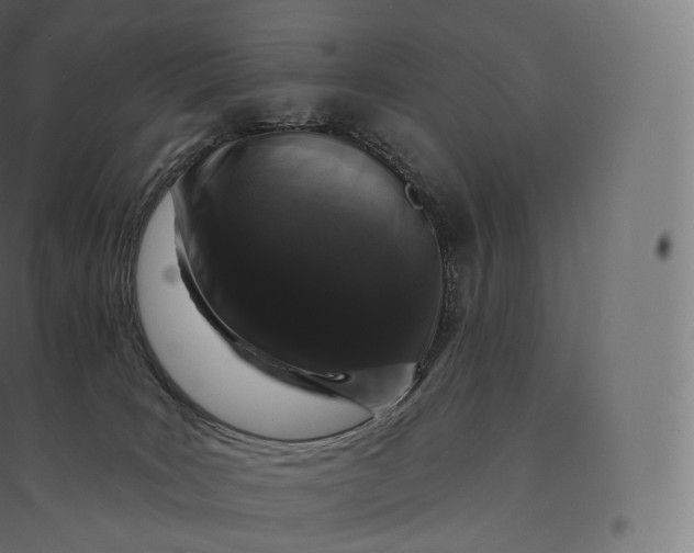X0000094380035200711242032
