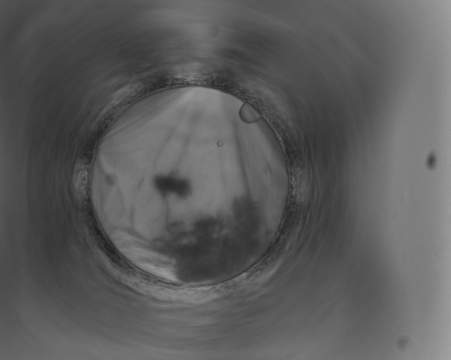 X0000094380036200711242032