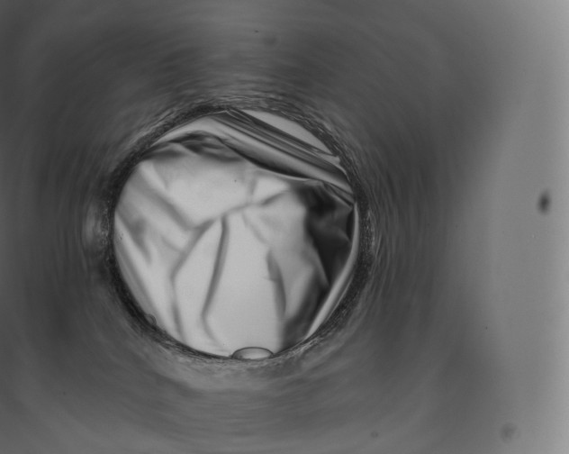 X0000094380040200711242032
