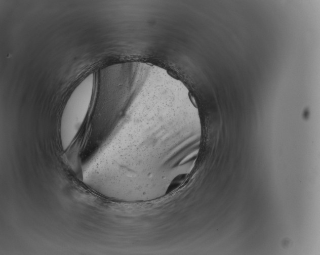 X0000094380041200711242032