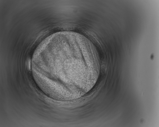 X0000094380046200711242032