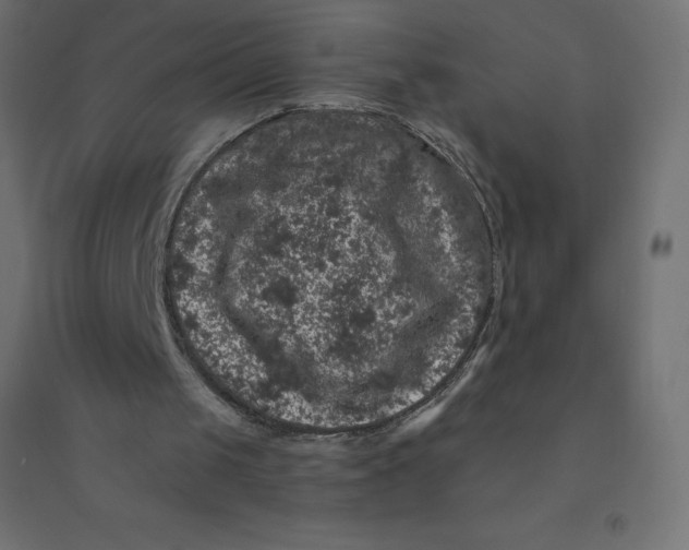 X0000094380049200711242031