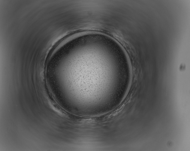 X0000094380050200711242031