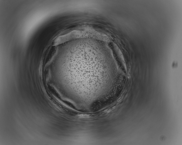 X0000094380052200711242031